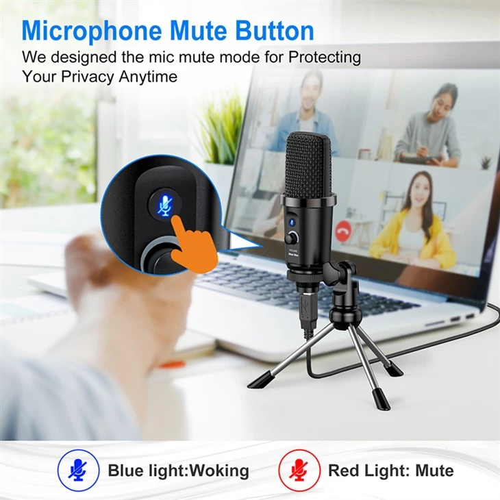 laptop microphone